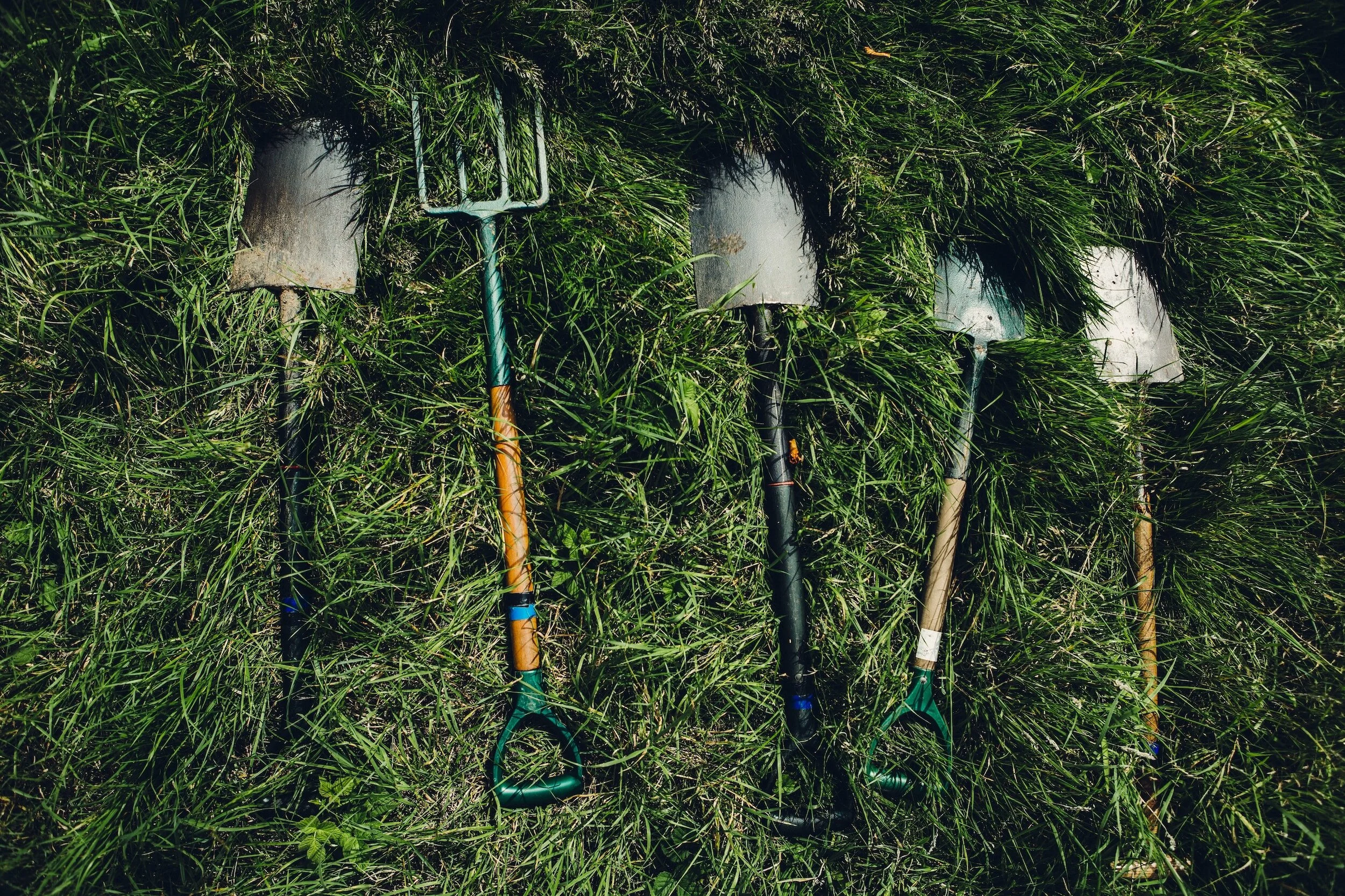 8 Best Garden Tool Sets for Beginners in 2026