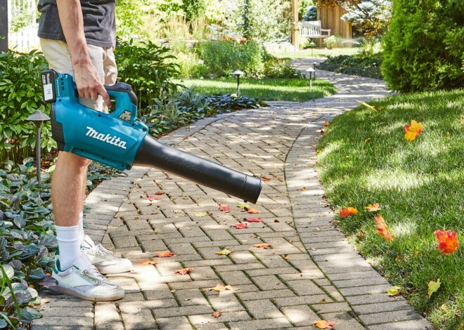 8 Best Leaf Blowers for Small Yards in 2026